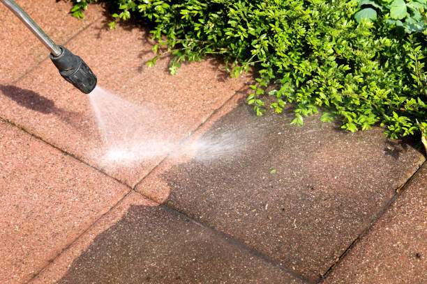 Best Commercial Pressure Washing  in New Brockton, AL